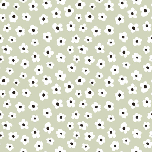 MINIME (0,53X10M) 2024